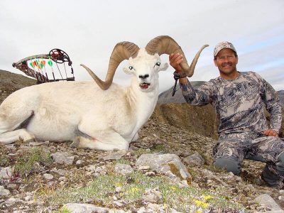 wta_827_1YMQOK_sheep6