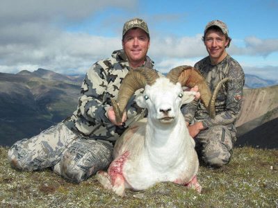 wta_827_30XEQ6_sheep4
