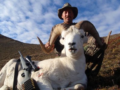 wta_827_F7PJPI_sheep16