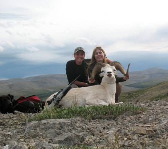 wta_827_GRICED_sheep12