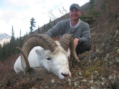 wta_827_L2UJC4_sheep18