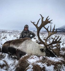 wta_828_Caribou