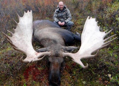 wta_829_00KMVL_082_moose-4