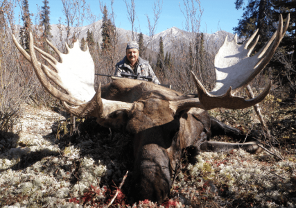 wta_829_0NVB2A_082_moose-6