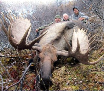 wta_829_1XN60P_082_akykmoose-2