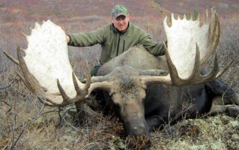 wta_829_4P2M0N_082_moose-2