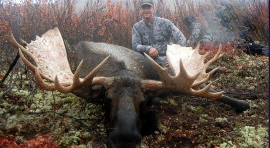 wta_829_7YVJME_082_akykmoose-7