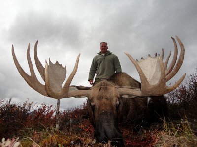 wta_829_ET6W50_moose4