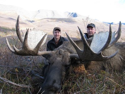 wta_829_G39G2P_moose9