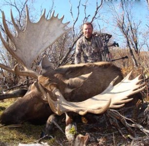 wta_829_IOG5UW_082_moose-5