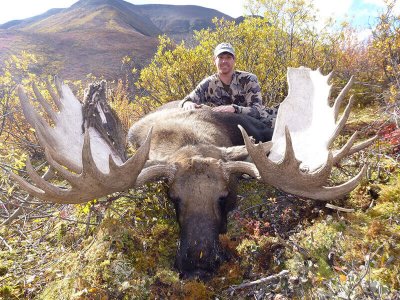 wta_829_K9TQSX_moose1