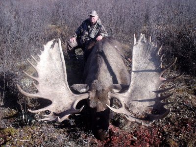 wta_829_KQECZ3_moose3