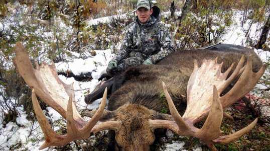 wta_829_MIWDLC_082_moose-1-4