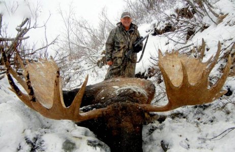 wta_829_MV3JB6_082_moose-1-2