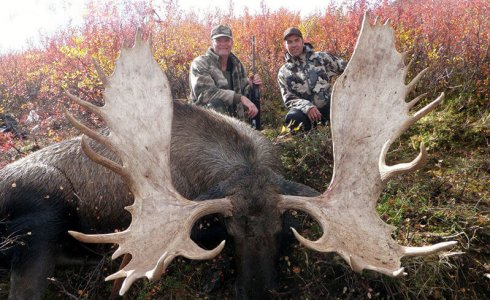 wta_829_QD3VPN_082_akykmoose-9