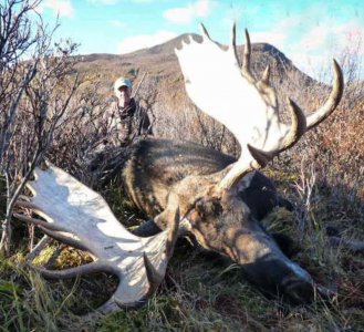 wta_829_RSK5EL_082_moose-1-3