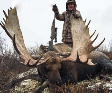 wta_829_WJCLCO_082_moose-1-5
