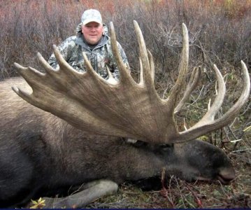 wta_829_WUZGAK_082_moose-3