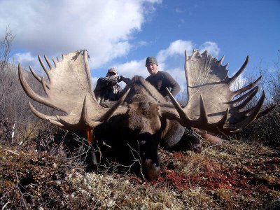 wta_829__featured_RJV8AD_moose5