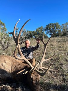 wta_847_elk2.jpg