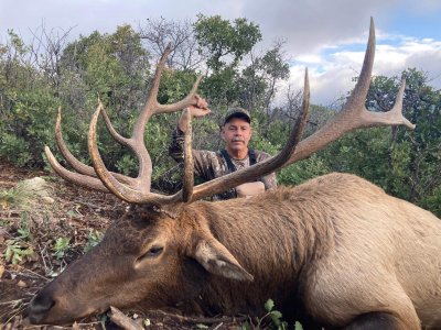 wta_847_elk3.jpg