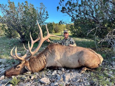 wta_847_wta_847_elk1.jpg-scaled