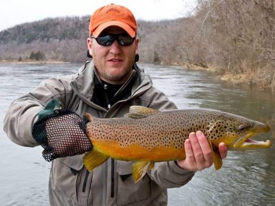wta_863_2OZ00N_fish-15