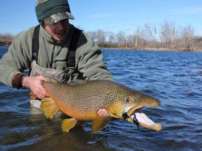 wta_863__featured_7FUVPW_fish-13
