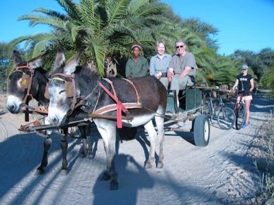 wta_884_3N237K_donkycart