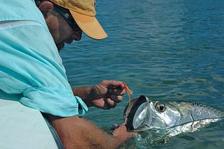wta_886_2025CG_outfitter_205(5)