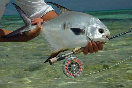 wta_886_N5ZXY1_outfitter_205(3)