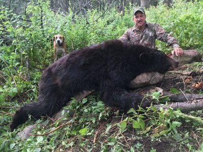 wta_902_C862T2_TObear5