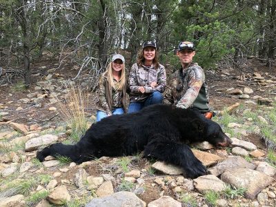 wta_902_CEB98W_TObear3