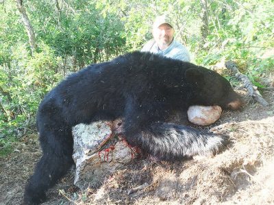 wta_902_GV82GQ_TObear2