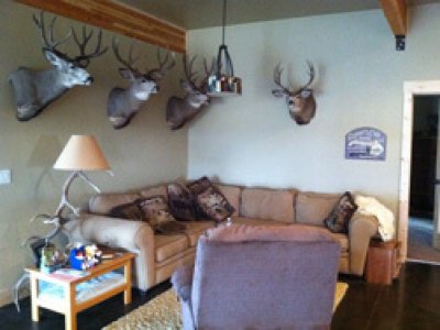 wta_907_lodge-2-thumb