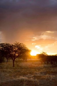 wta_911_H10OPZ_K_Landscape_6