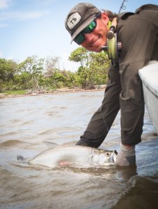 wta_913_Long baby tarpon