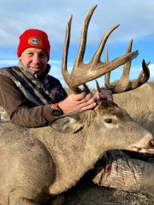 wta_931_Buck 1