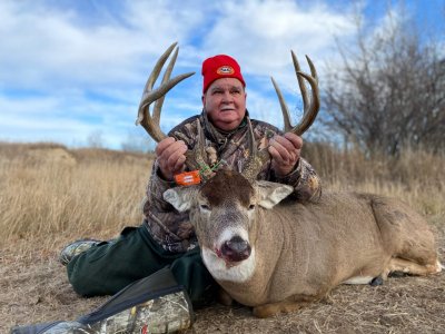 wta_931_Buck