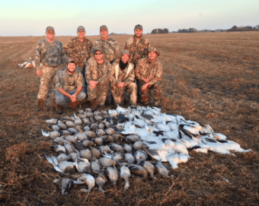 wta_932_0ZJ9EC_139fowl(6)