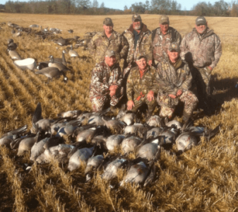 wta_932_1FLVQ5_139fowl