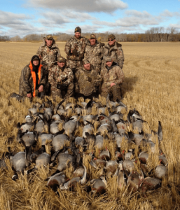 wta_932_HMVGUK_139fowl(9)