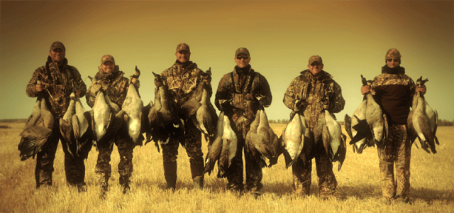 wta_932_ZFVKDO_139fowl(11)