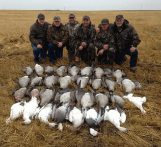 wta_932__featured_43EQ11_139fowl(8)