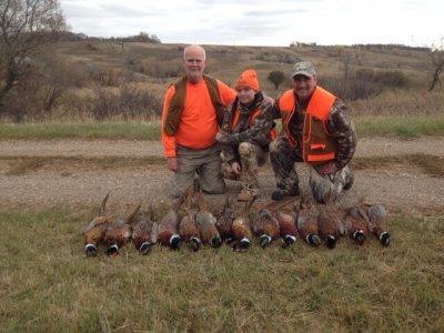 wta_946_LGVAHM_Pheasant