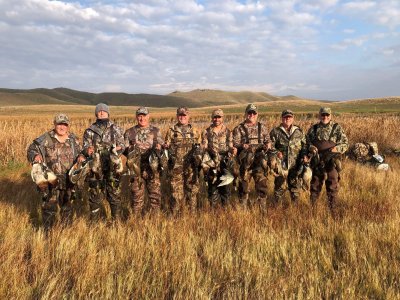 wta_946_Mallards
