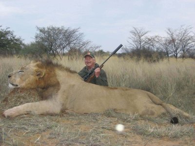 wta_951_5C785G_FranzNeuper-lion