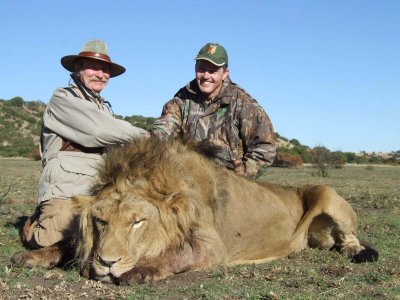 wta_951_DOD8U5_PaulAdams-lion