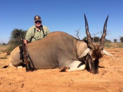 wta_951_S9YZFG_AlvinKocher-eland