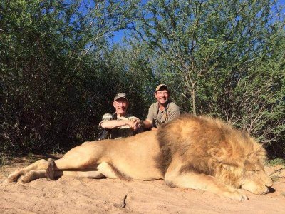 wta_951_XTBAM7_TomGoodwin-lion